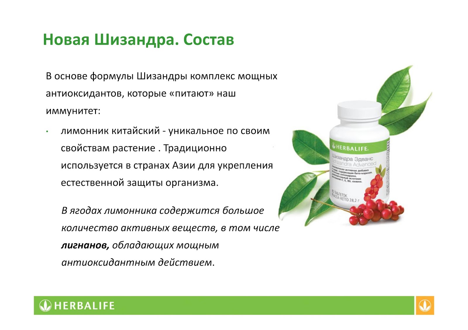 Шизандра Гербалайф